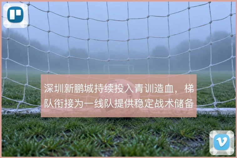 深圳新鹏城持续投入青训造血，梯队衔接为一线队提供稳定战术储备