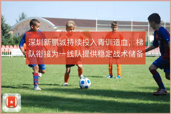 深圳新鹏城持续投入青训造血,梯队衔接为一线队提供稳定战术储备